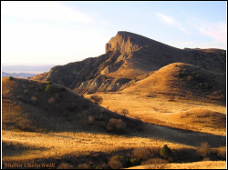 Washlovani National Park_7.JPG